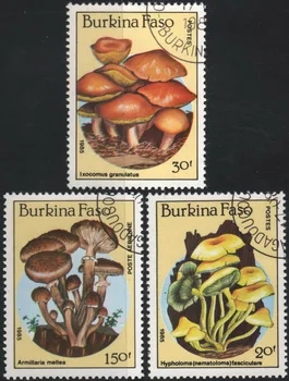 3 шт./компл. Почтовые марки Буркина-Фасо 1985 года с грибной маркировкой, почтовые марки для коллекционирования  5