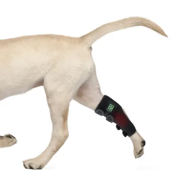 Облегчение боли в ногах, аккумуляторная батарея в инфракрасном приборе для домашних животных  4